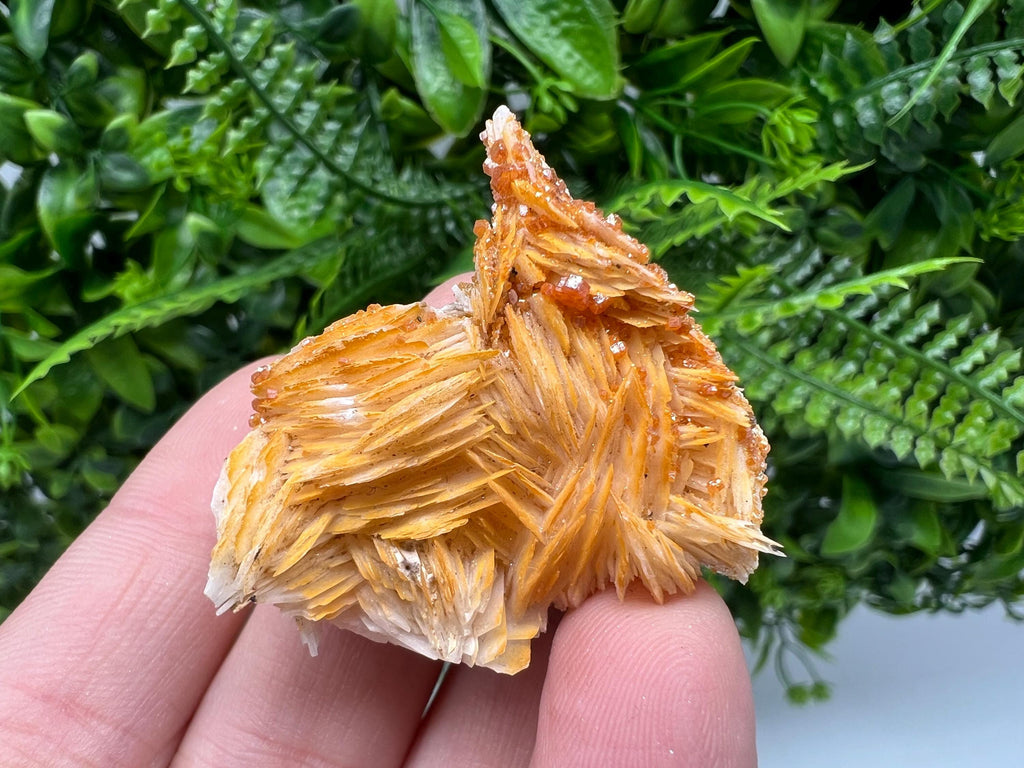 Red Vanadinite on Barite from Marocco,crystal minerals Speciment cluster Vanadinite crystal Vanadinite Geology Vanadinite cluster minerals