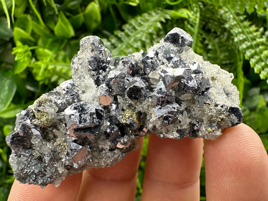 Galena Chalcopyrite on Quartz: Crystal Home Decor, Borieva Mine