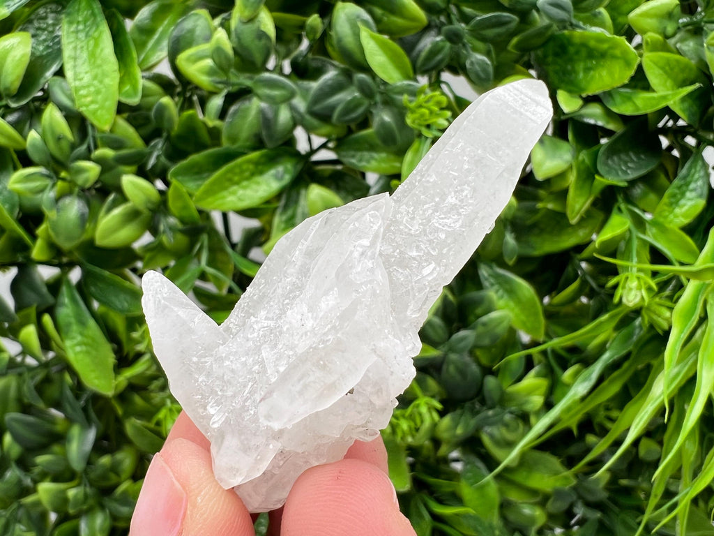 Transparent Quartz on Chlorite Matrix, Borieva Mine, Bulgaria