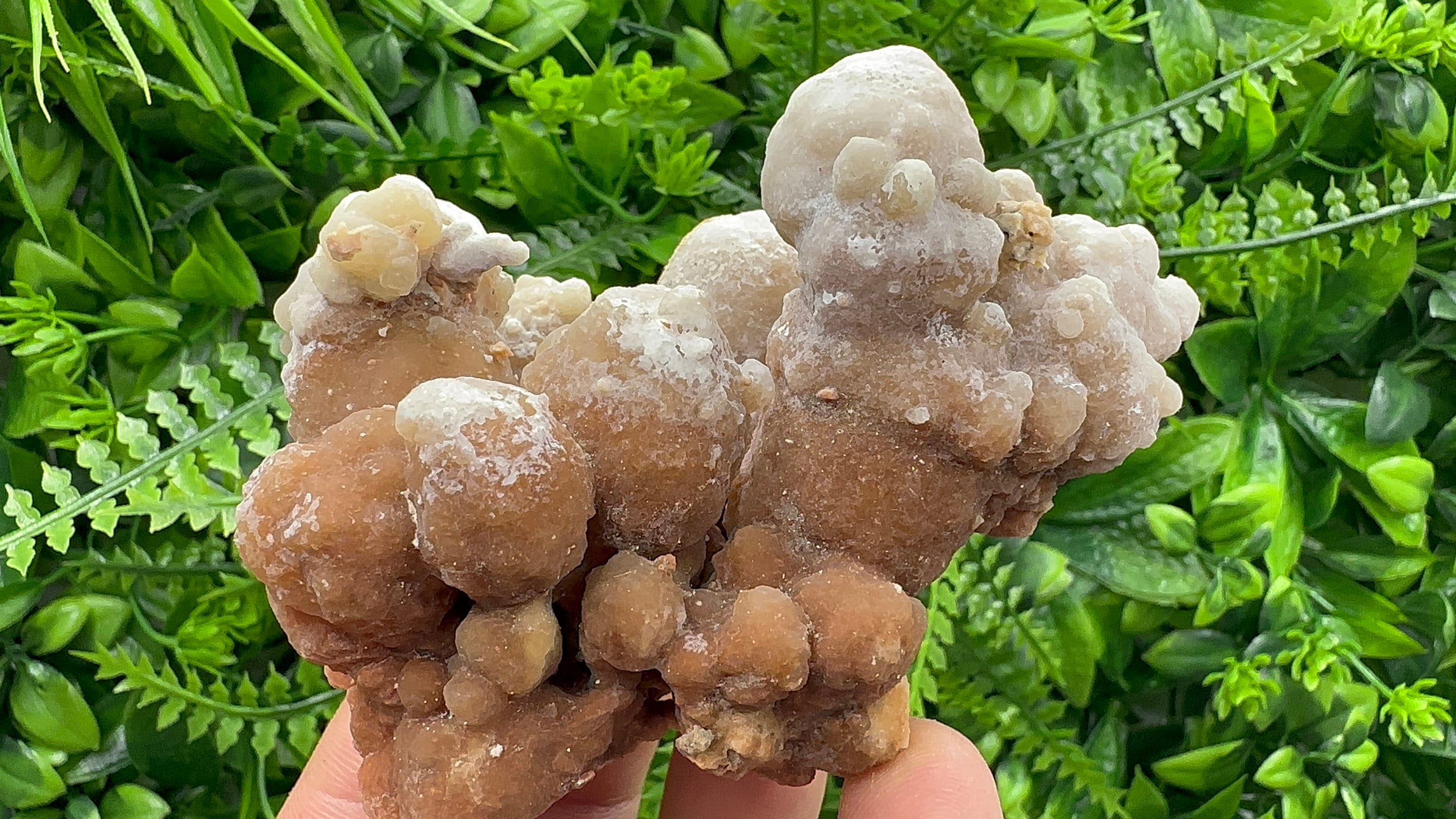 Dimitrovgrad Aragonite Cluster, Bulgaria, Natural Mineral Specimen