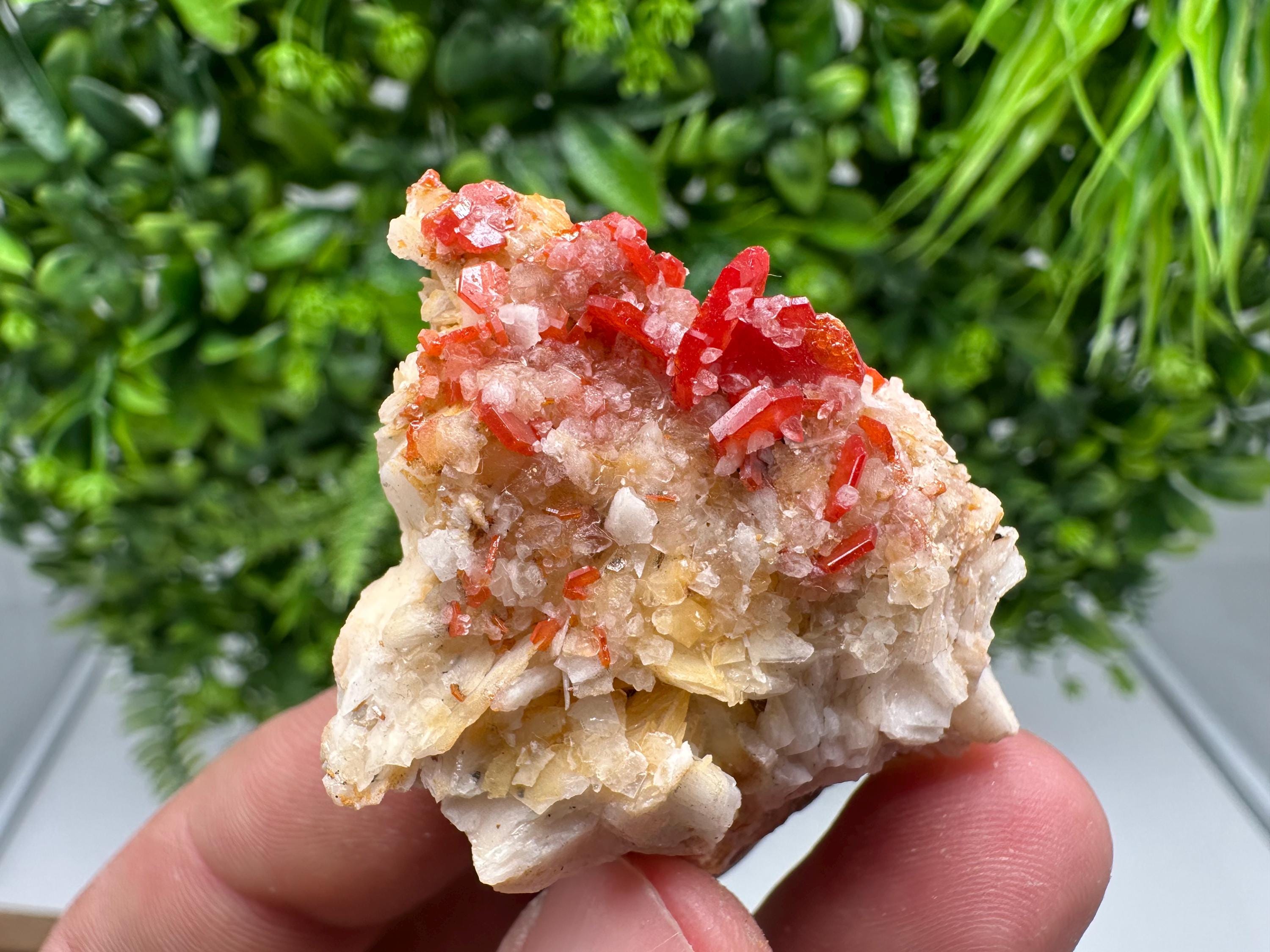Red Vanadinite on Barite from Marocco,crystal minerals Speciment cluster Vanadinite crystal Vanadinite Geology Vanadinite cluster minerals