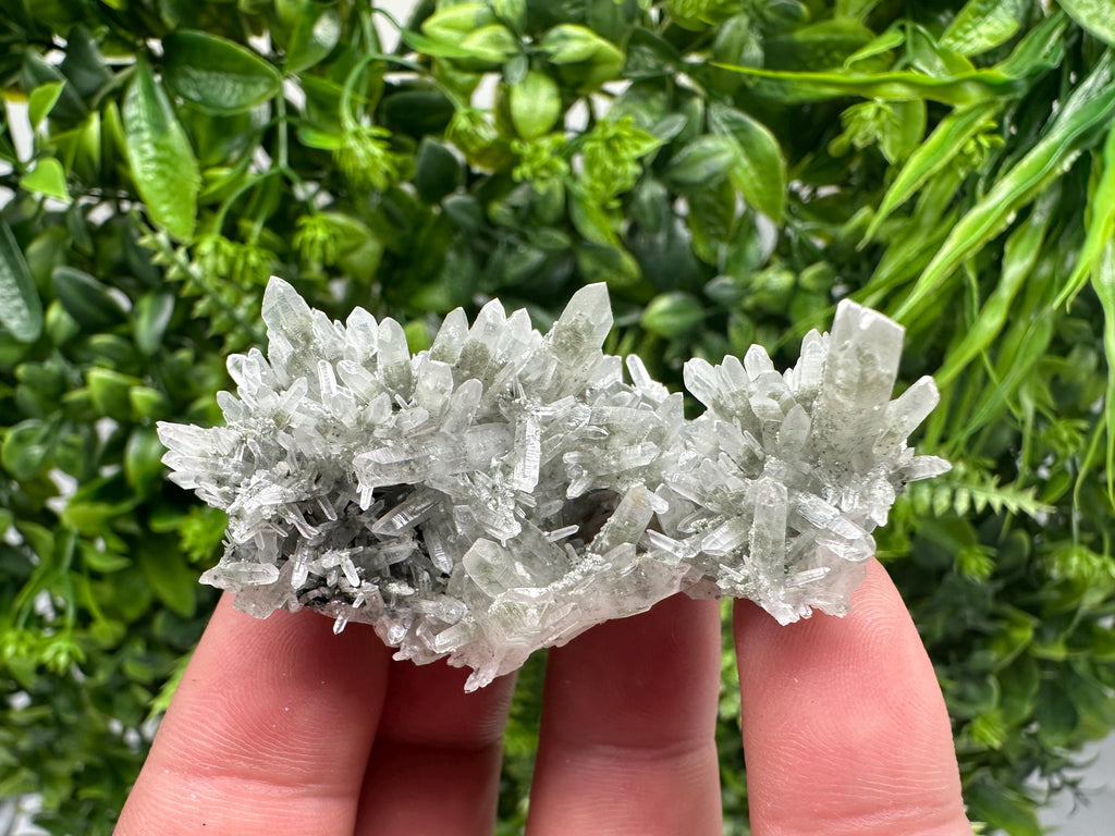 Chlorite Included Green Quartz Crystal Specimen: Madan, Bulgaria