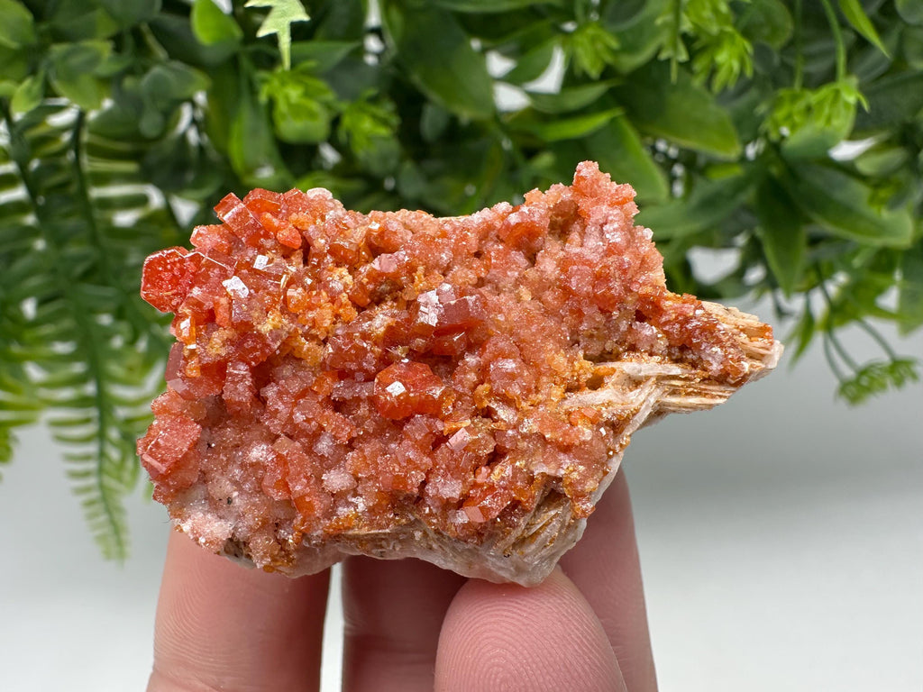 Red Vanadinite Crystal Cluster on Barite Matrix from Morocco, Mineral Specimen