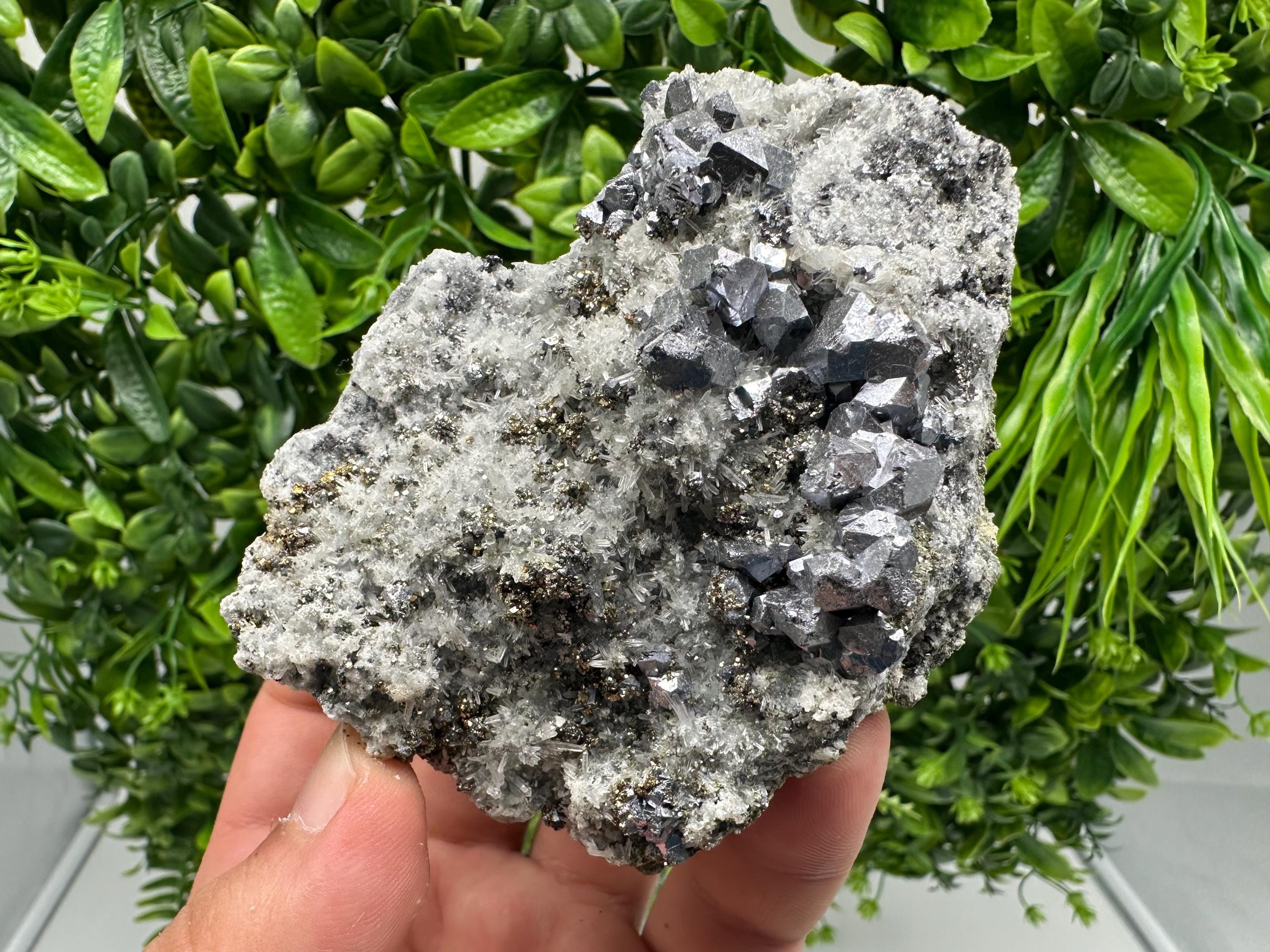 Galena Sphalerite Pyrite on Quartz: Borieva Mine Mineral Cluster