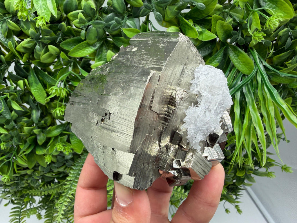 Pyrite Sphalerite Quartz  Mineral Specimen, Krushev dol Mine