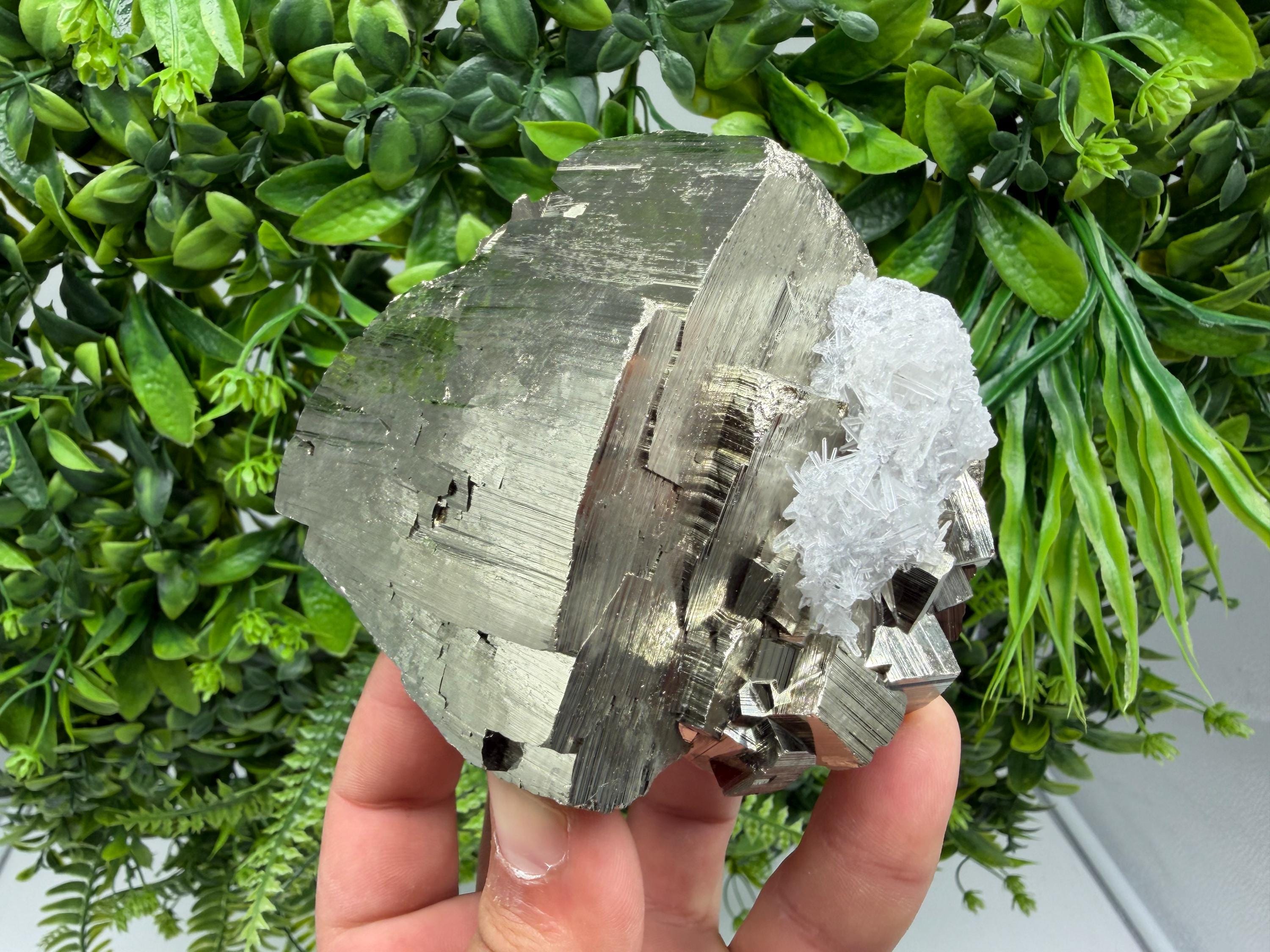 Pyrite Sphalerite Quartz  Mineral Specimen, Krushev dol Mine