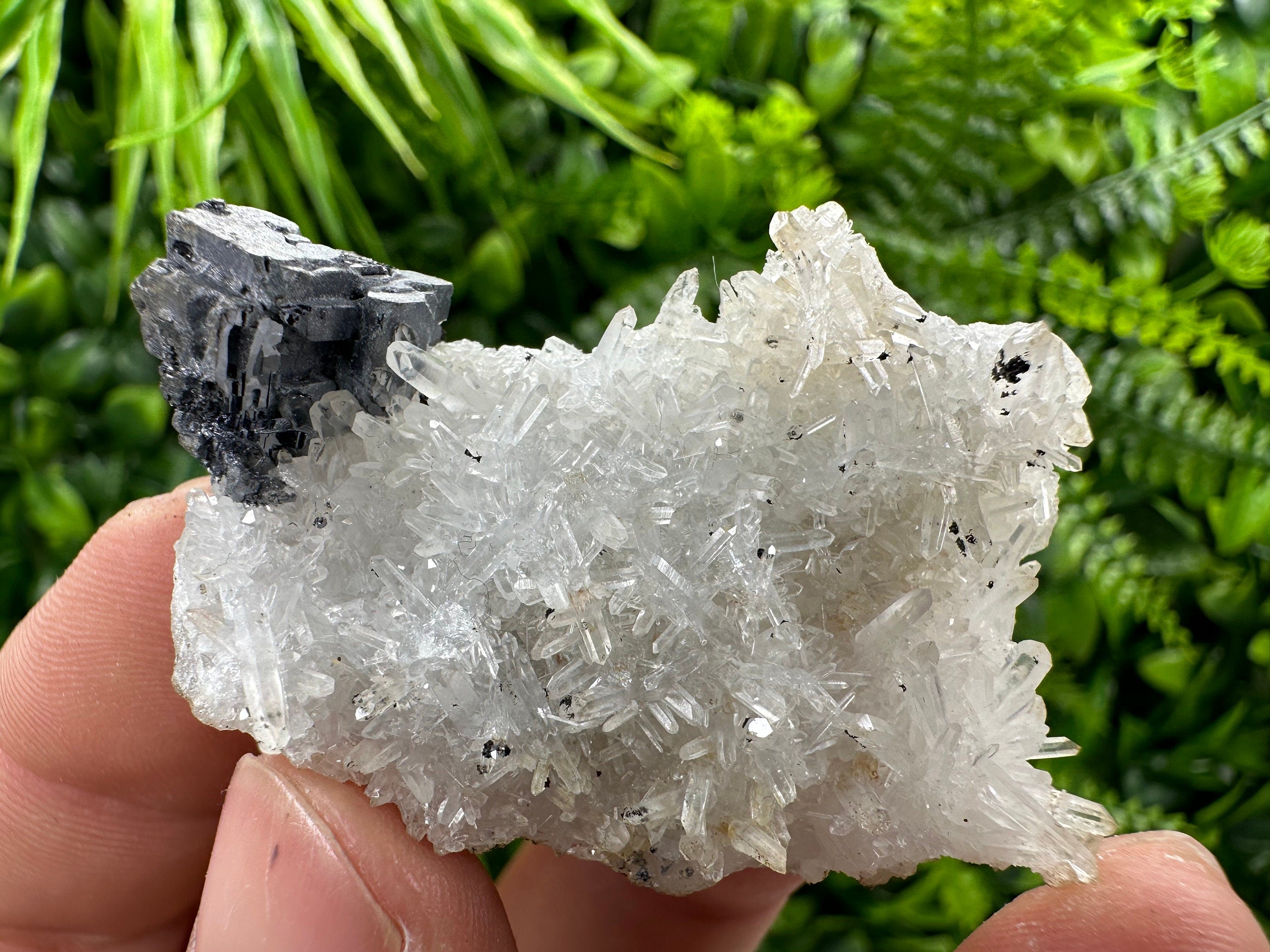 Galena on Quartz, Natural Crystal Mineral Specimen