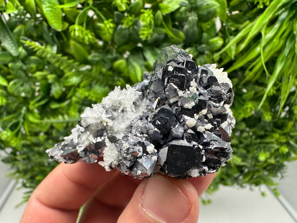 Galena on Quartz with Calcite, Borieva Mine, Bulgaria