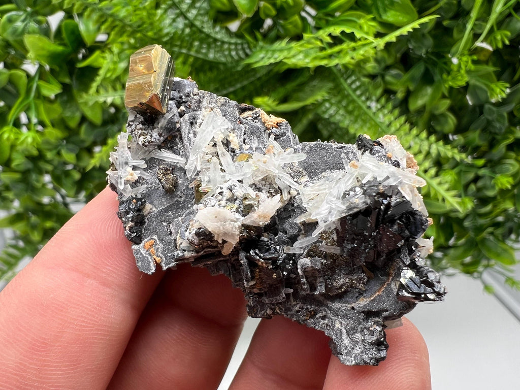 Skeleral Galena, Pyrite, Quartz Mineral Specimen, Madan Bulgaria