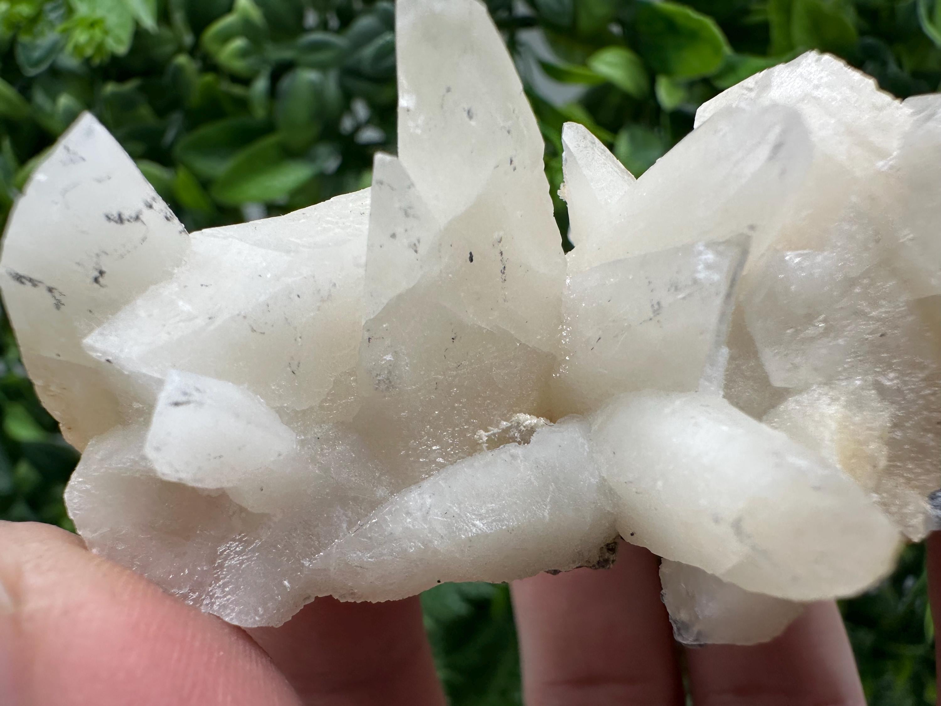Calcite on Green Quartz: Laki Bulgaria Healing Crystal