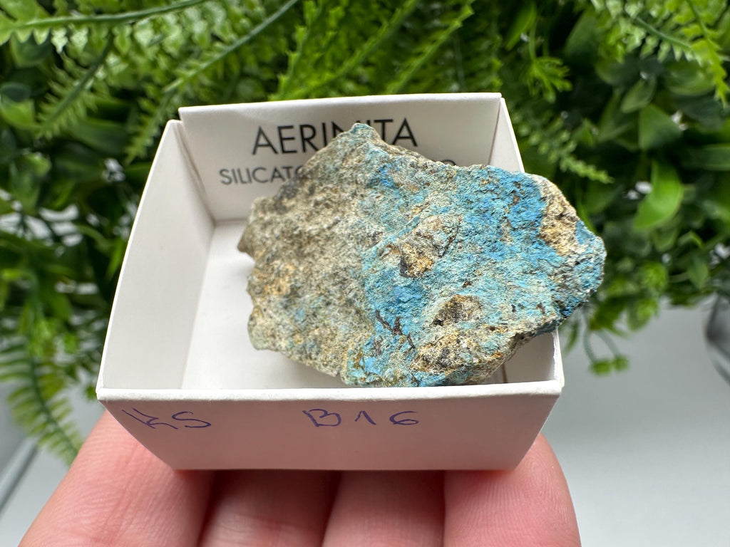 Rare Raw Aerinite Mineral Specimen: Lleida, Spain Crystal