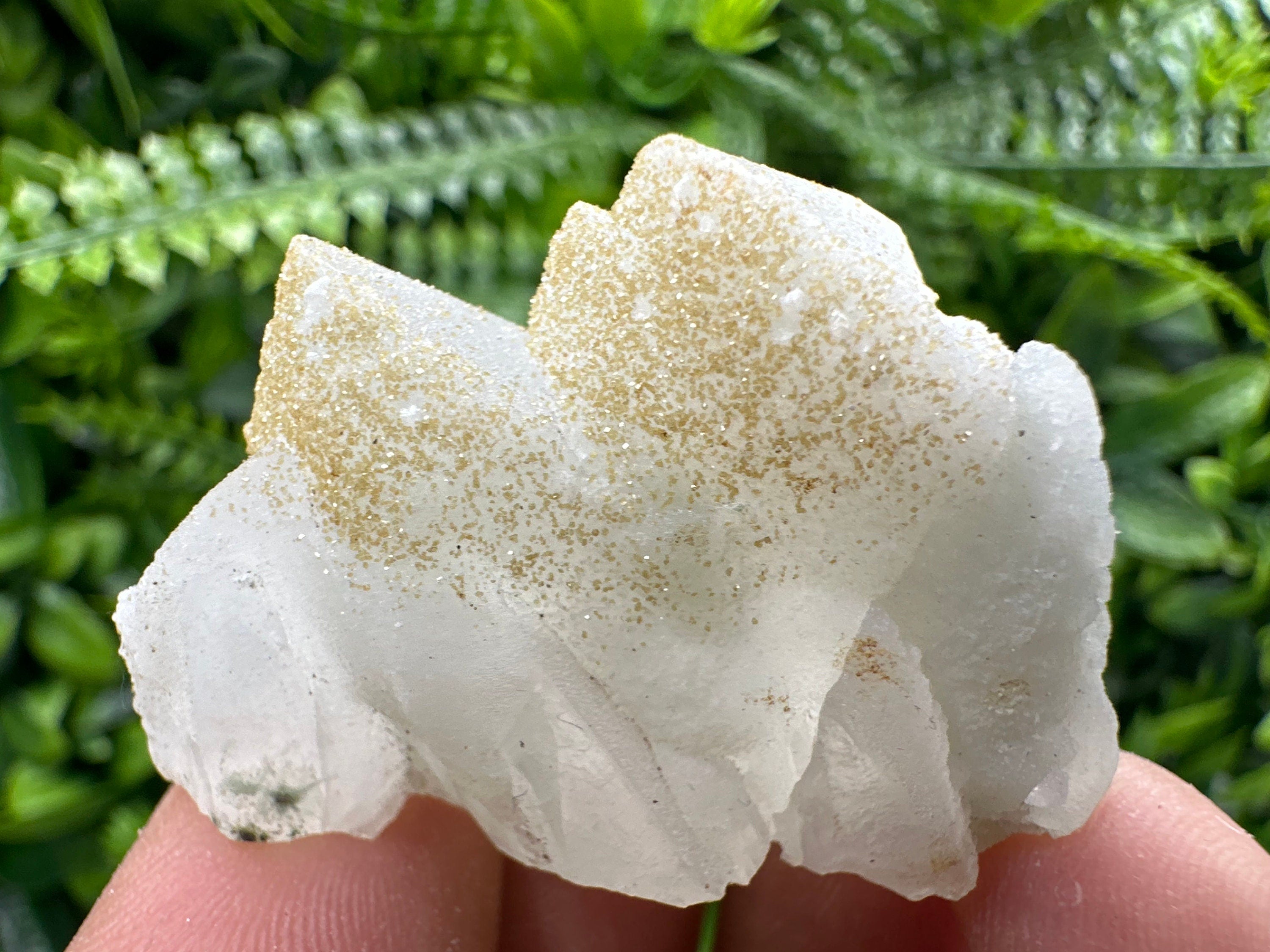 Quartz Rhodochrosite Cluster, Djurcovo Bulgaria Mineral Specimen