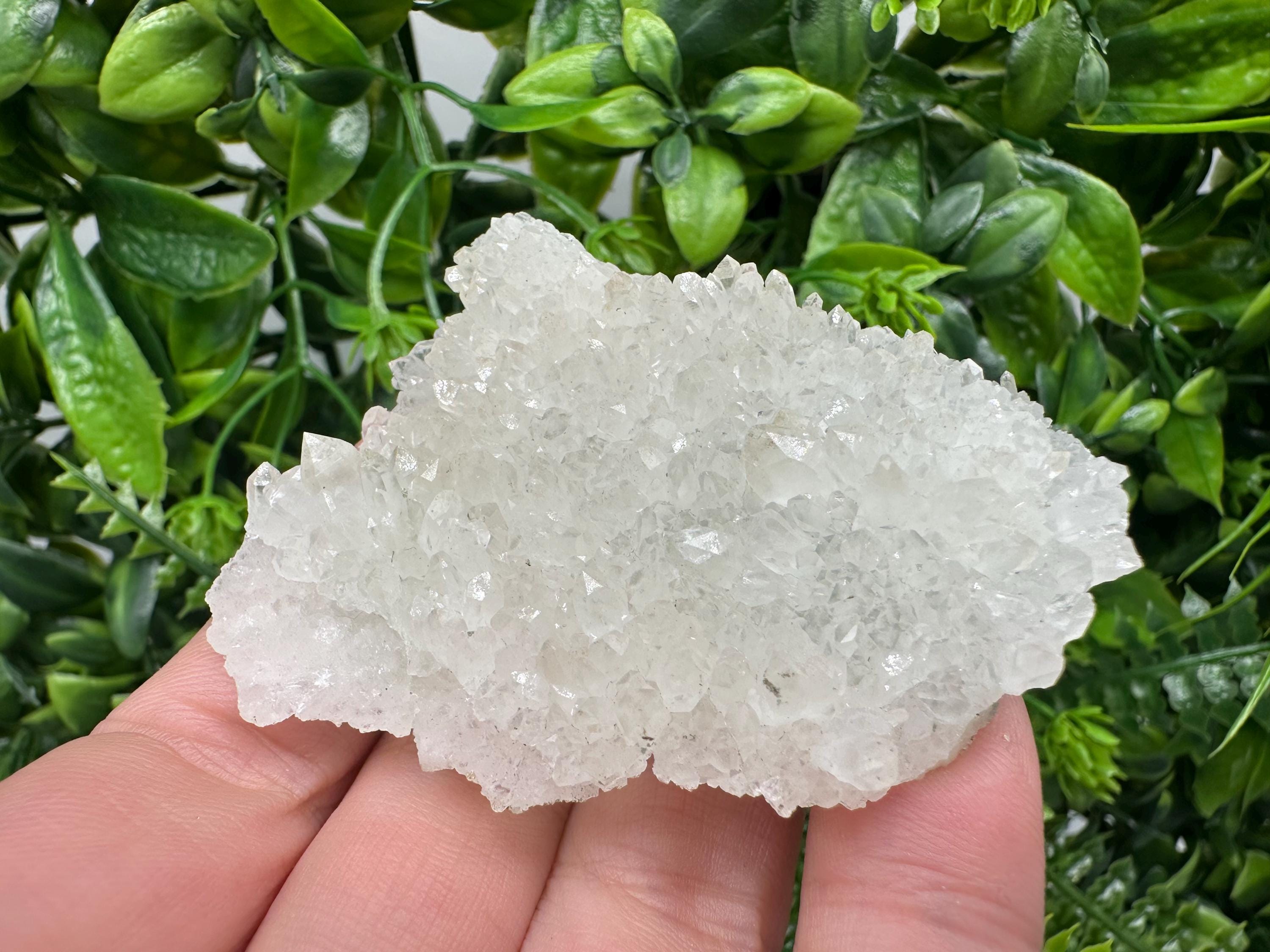 Transparent Quartz on Chlorite Matrix, Borieva Mine Mineral Specimen