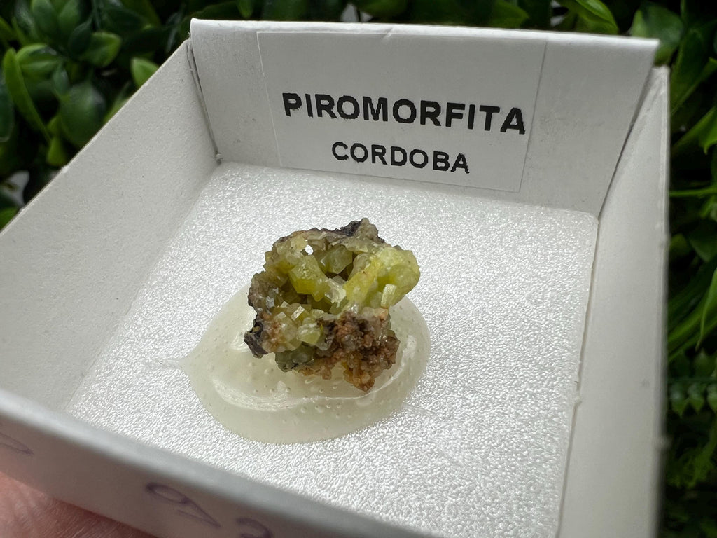 Pyromorphite Stone / Pyromorphite on Matrix / Pyromorphite Crystal / Raw Crystal / Pyromorphite Cluster / Rough Pyromorphite / Pyromorphite