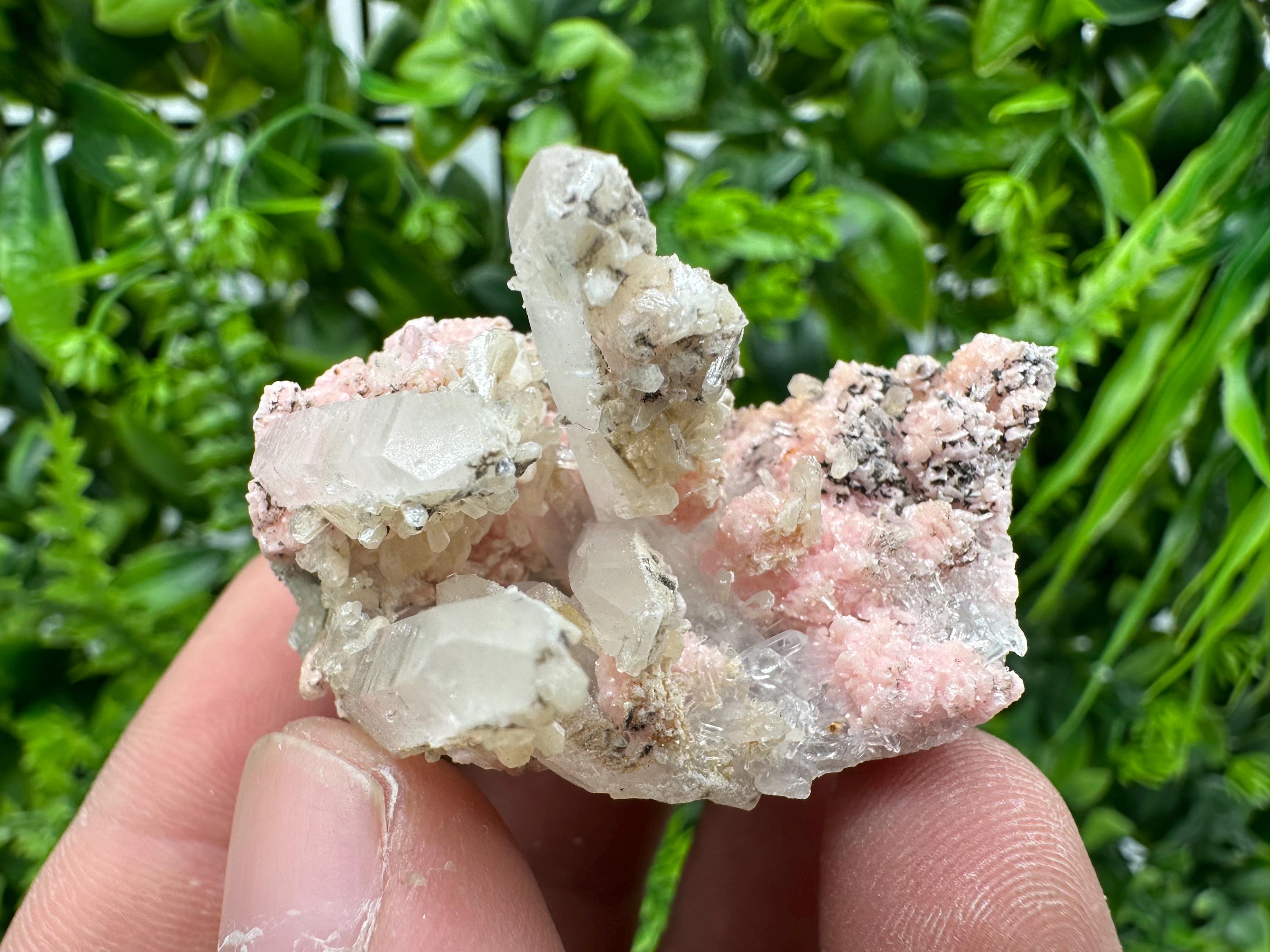 Pink Rhodochrosite Crystal: Starnica Mine, Bulgaria, Home Decor