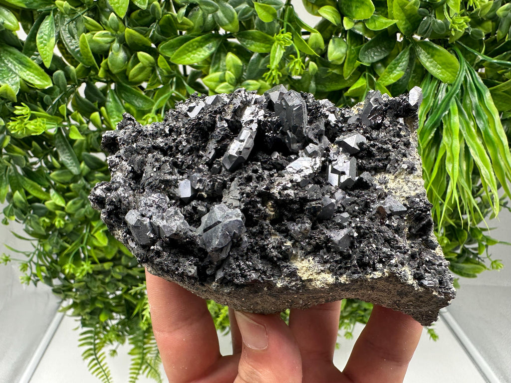 Galena Spinel on Sphalerite, Borieva Mine Mineral Specimen, Bulgaria