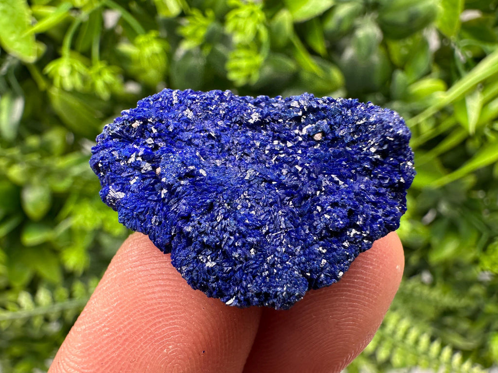 Crystallized Azurite-Kerrouchen,Morocco-Blue Azurite Specimen-High Quality Blue Azurite-Azurite Mineral Specimen, gemmy,lustrous of Azurite