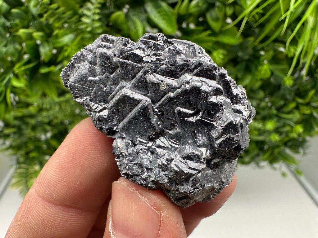 Galena Spinel Law Mineral Specimen: Krushev Dol, Bulgaria