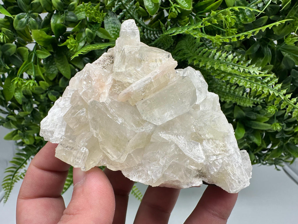Apophyllite Stilbite Cluster on Chalcedony, India Crystal Mineral Specimen