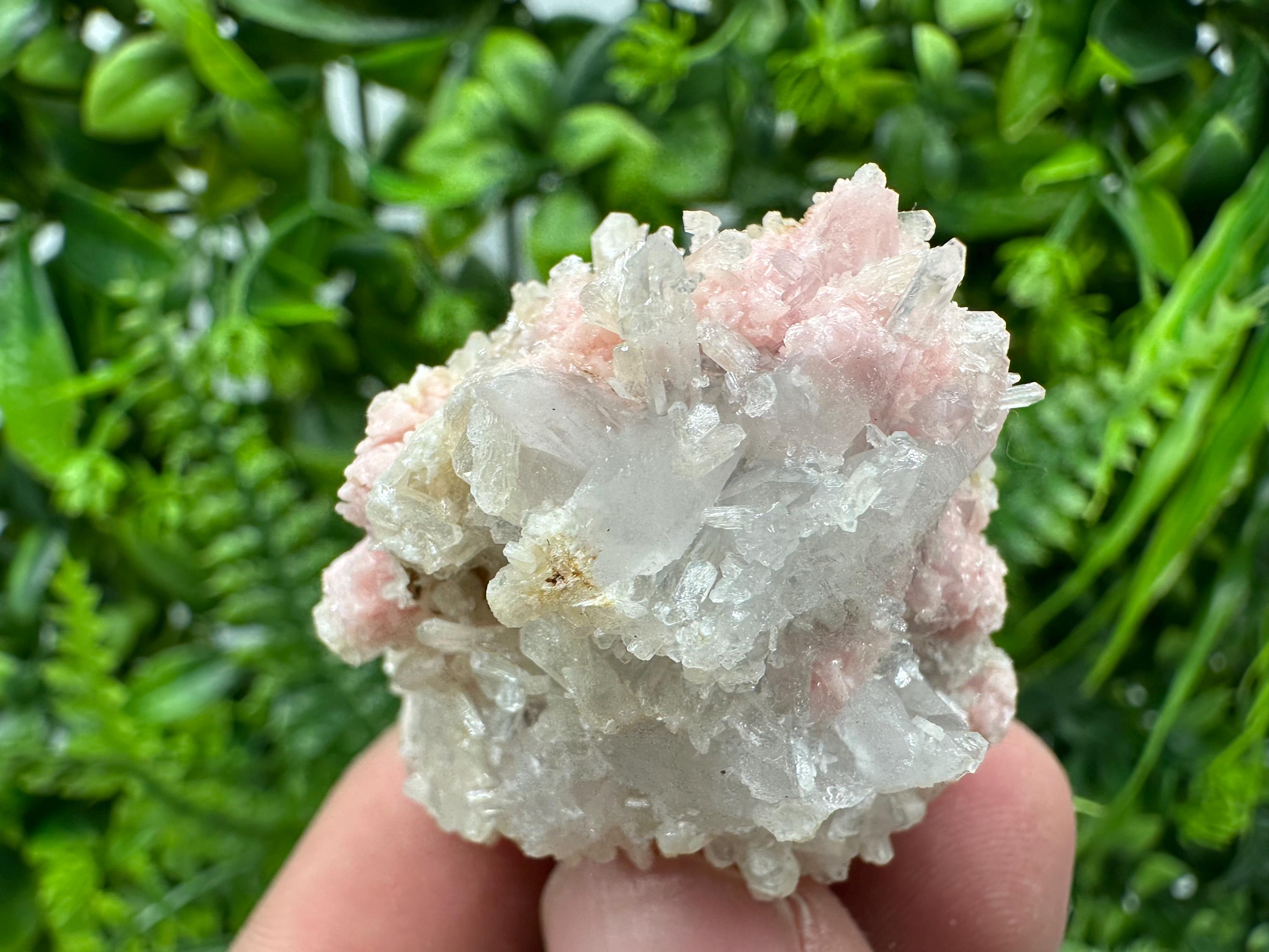 Pink Rhodochrosite Crystal: Starnica Mine, Bulgaria
