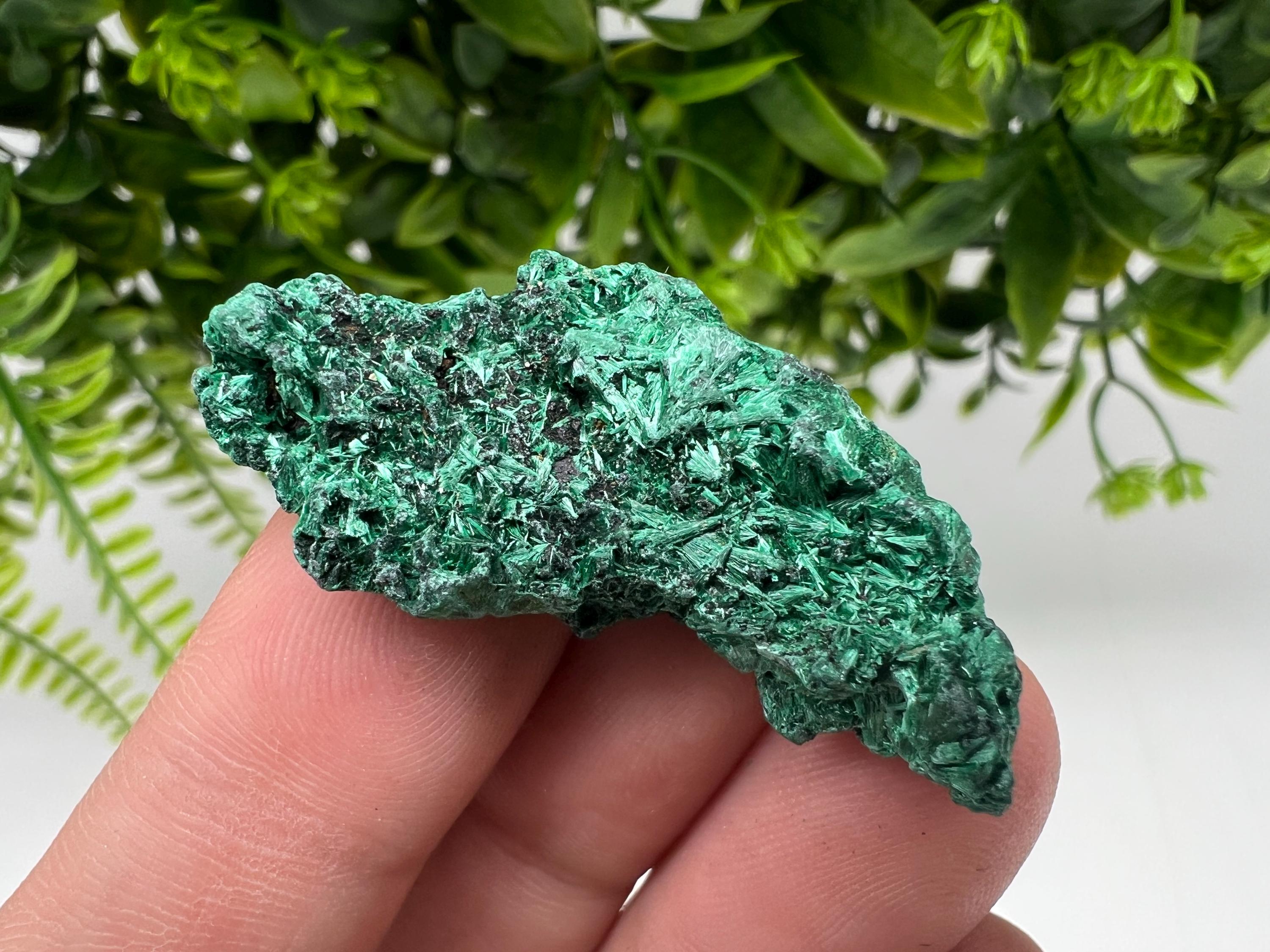 Malachite Crystal from Congo,Minerals,Crystals from Congo,Green Malachite, Malachite,Natural Malachite,Malachite Stone,Chakra, Specimens