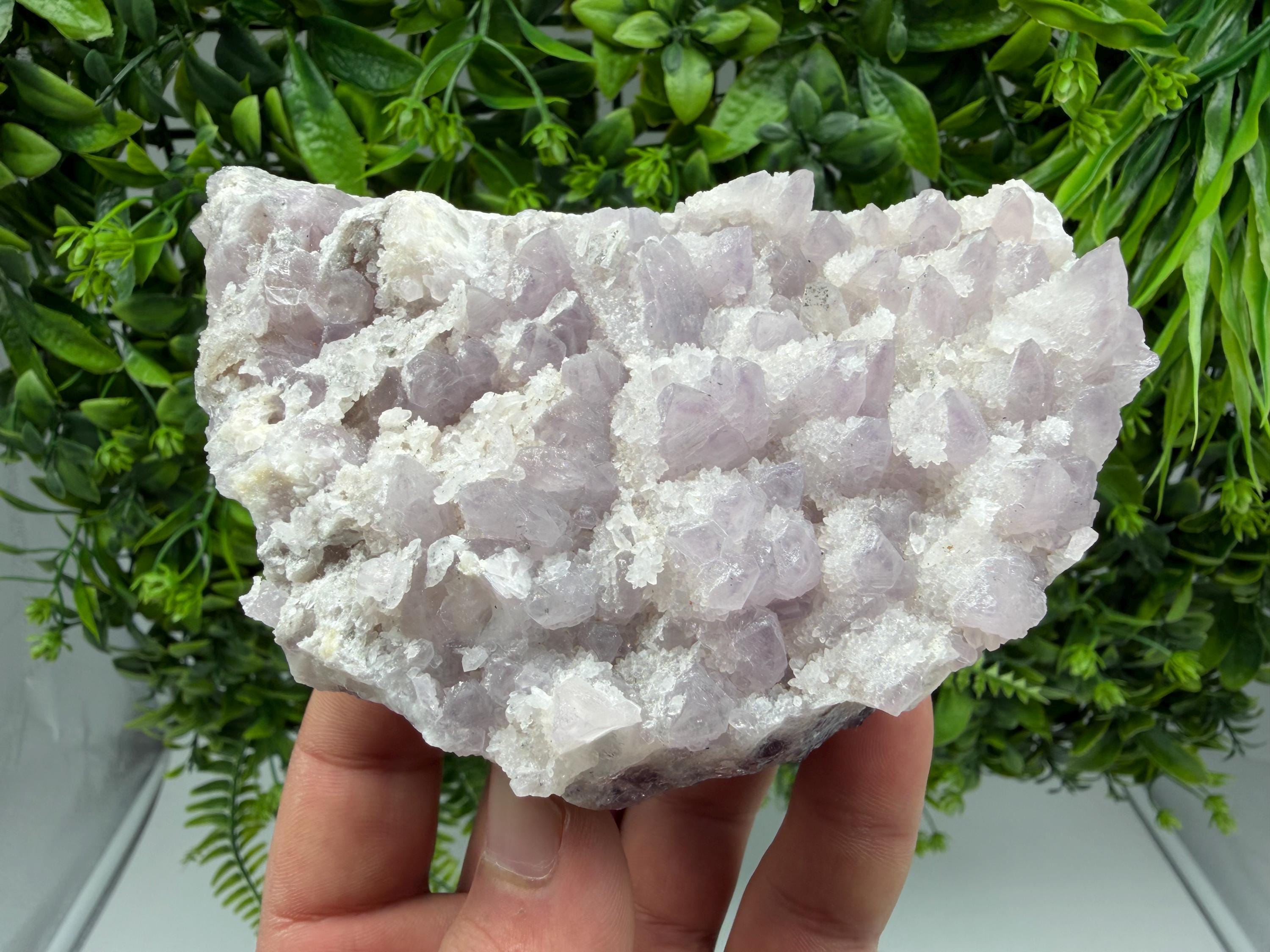 Chala Mine Amethyst Phantom Cluster, Bulgaria Crystal Specimen