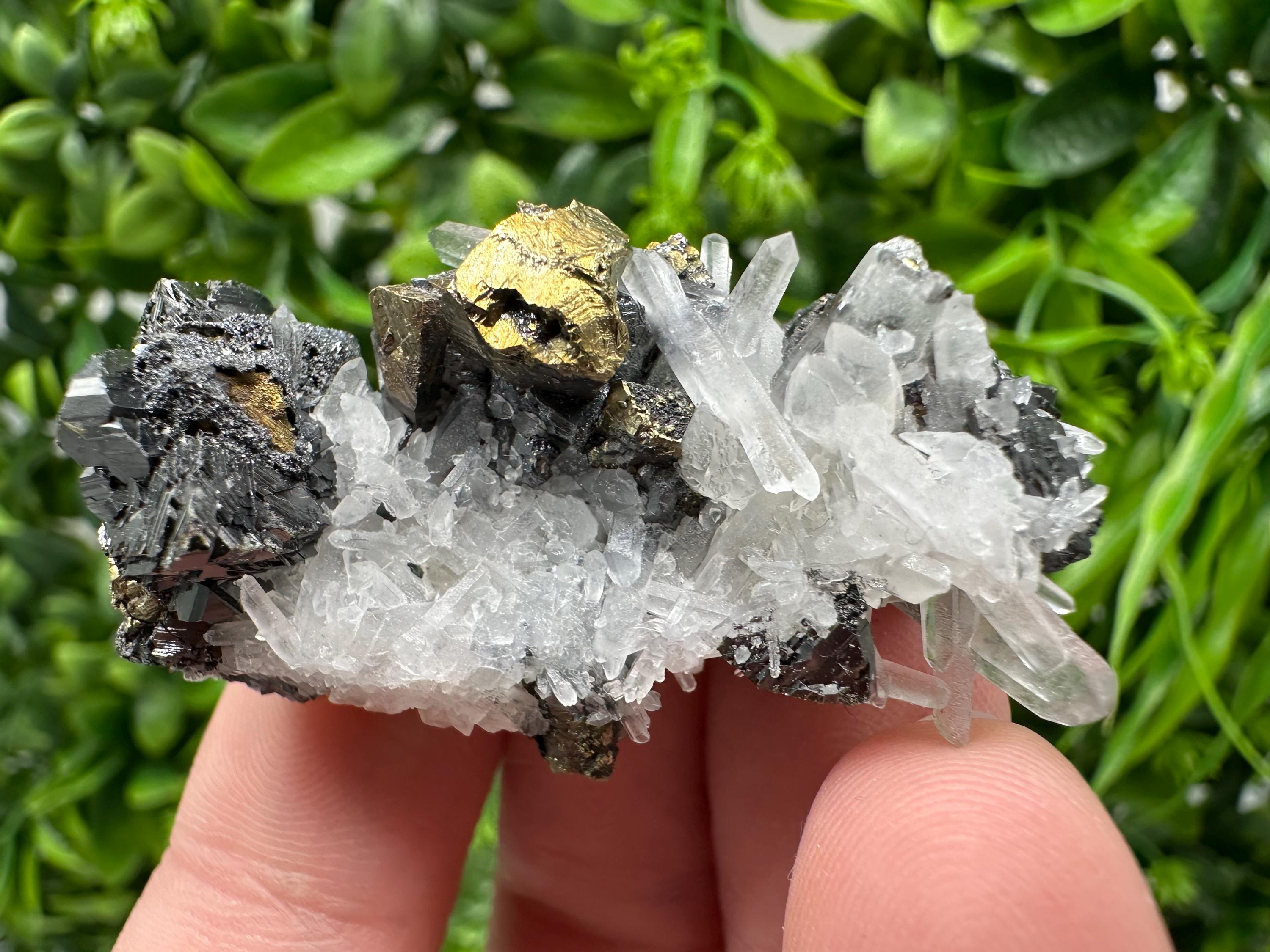 Wonderful Sphalerite Chalcopyrite on  Quartz whit Galena feom 9 th September mine,Bulgaria,natural,collection mineral specimen,gift