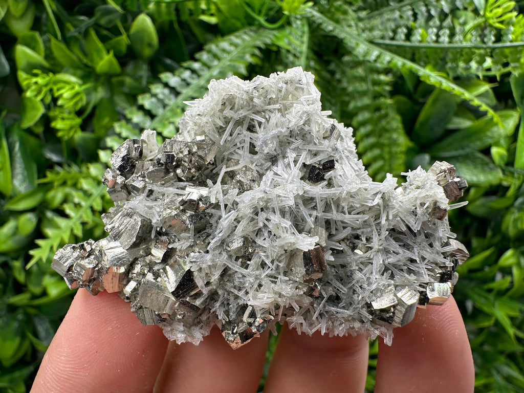 Pyrite on Green Quartz Specimen, Borieva Mine, Bulgaria