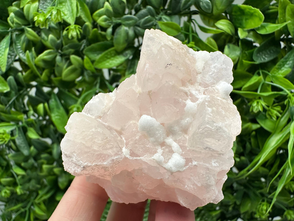 Mangano Calcite with Galena, Borieva Mine, Bulgaria
