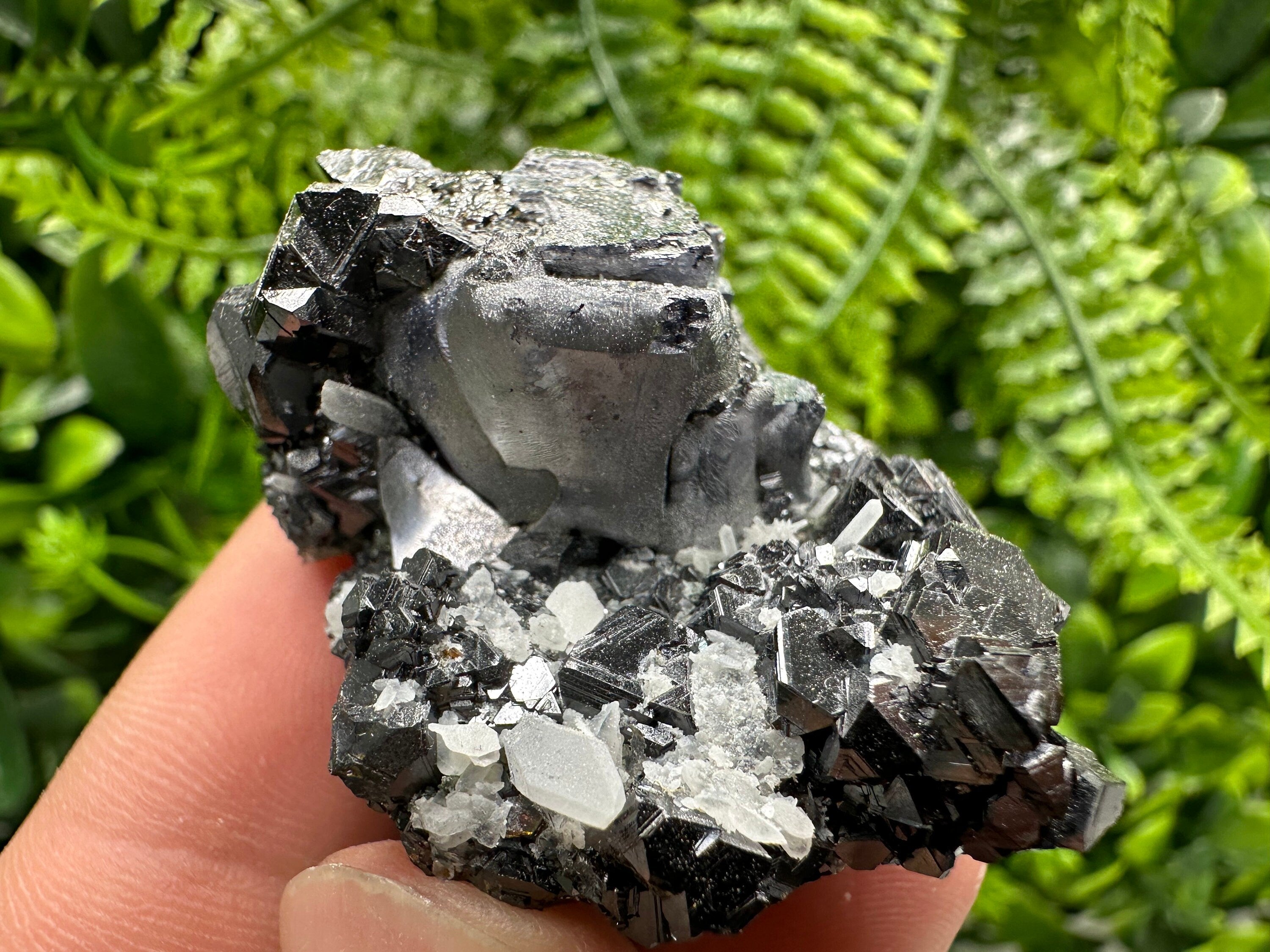 Mirror Galena on Sphalerite with Quartz, Borieva Mine Mineral Specimen