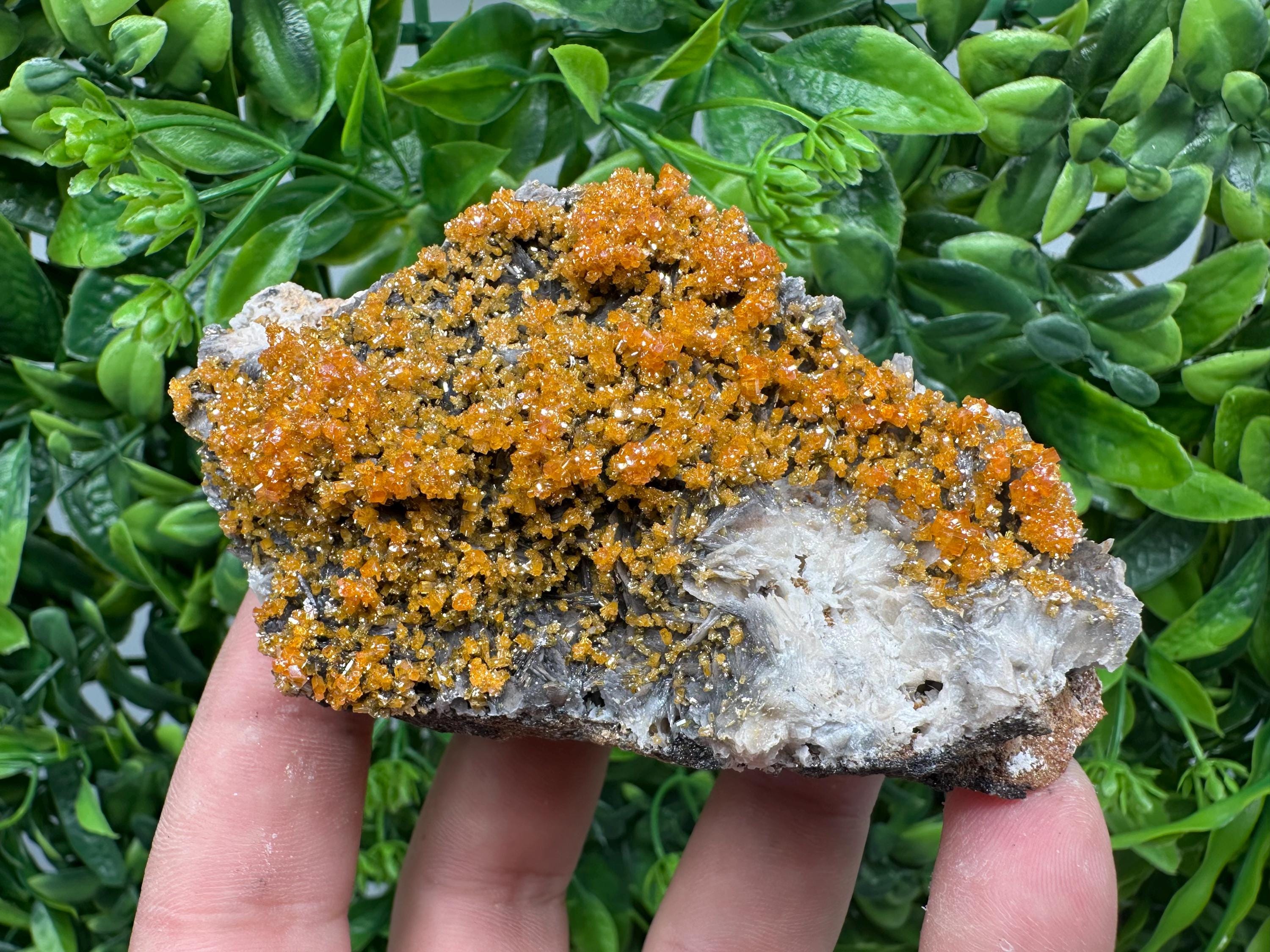 Rare Red Vanadinite Crystal Cluster on Barite with Goethite, Morocco