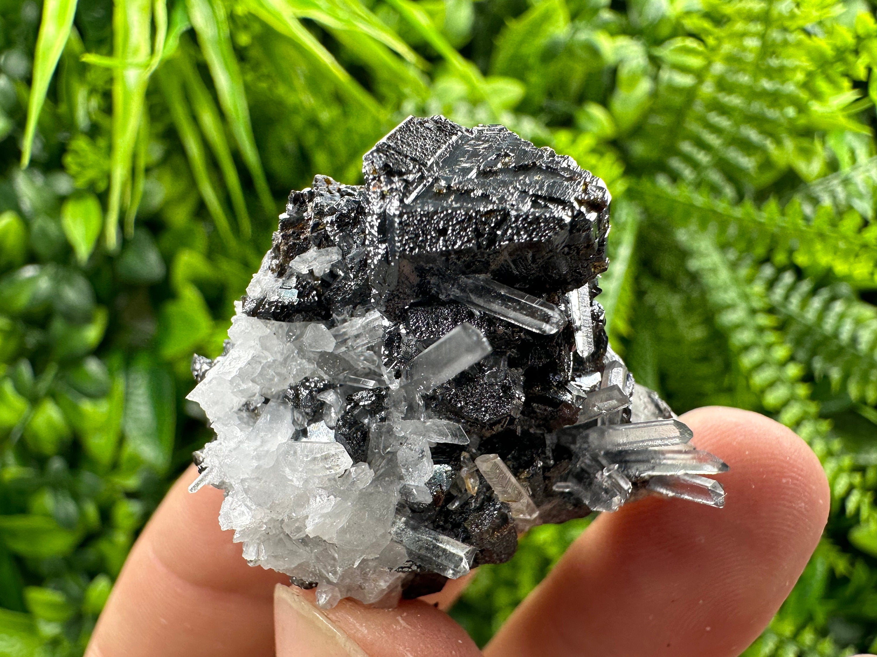 Sphalerite on Transparent Quartz, Kryshev Dol Bulgaria