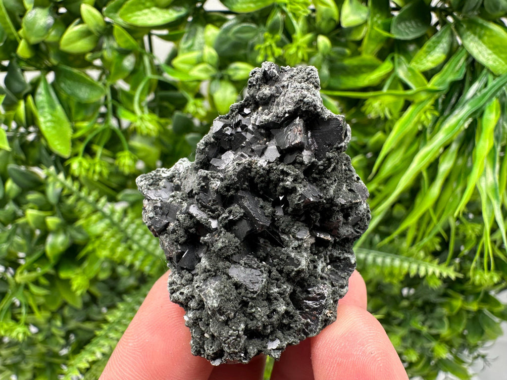 Sphalerite Galena with Chlorite Mineral Specimen, Bulgaria