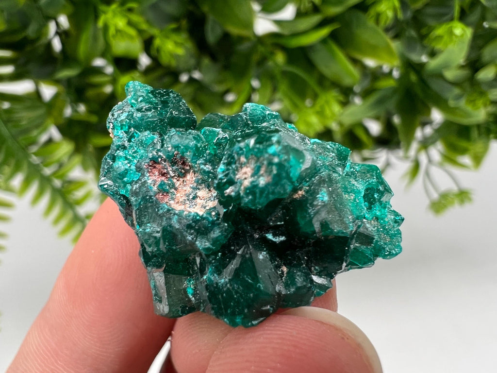 Stunning Green Dioptase from Sanda Hills,Mindouli,Pool Department,Mindouli District,Congo,green Dioptase,Dioptas Crystal,Dioptase collecting