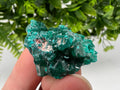 Stunning Green Dioptase from Sanda Hills,Mindouli,Pool Department,Mindouli District,Congo,green Dioptase,Dioptas Crystal,Dioptase collecting