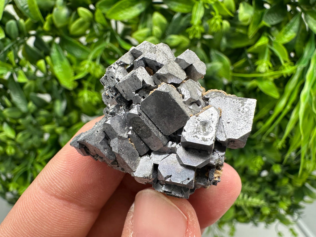 Aesthetic Natural shiny Galena whit Siderite and Quartz from 9 th September mine,Bulgaria,collection specimen,rare galena,Galena cluster