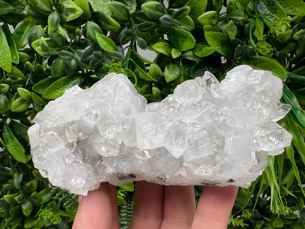 Apophyllite on Chalcedony Specimen: India Minerals Collection