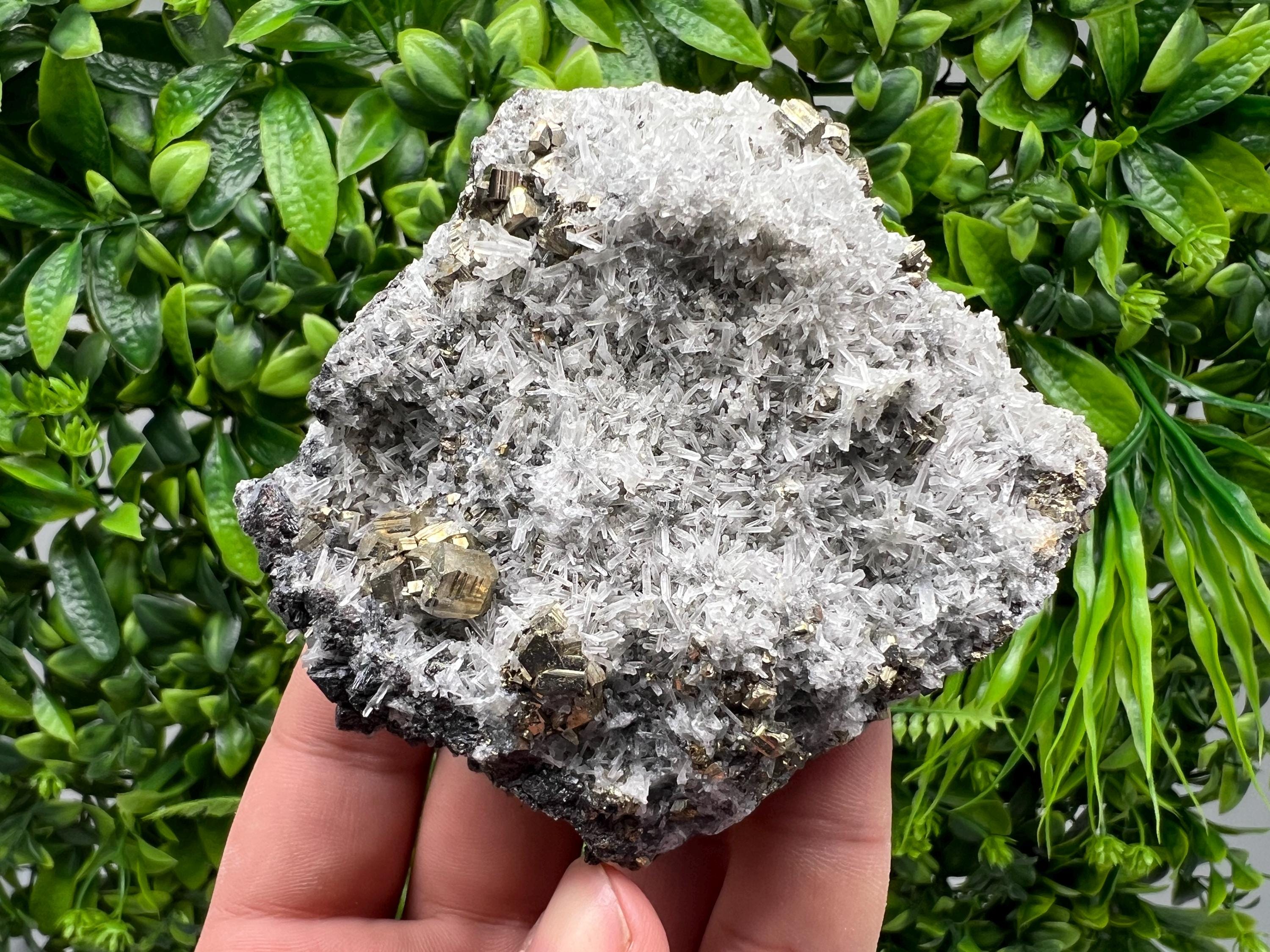 Rainbow Pyrite on Quartz, Natural Mineral Specimen, Borieva Bulgaria