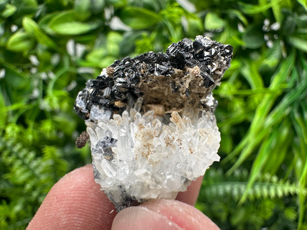 Sphalerite on Green Quartz, Borieva Mine Mineral Specimen