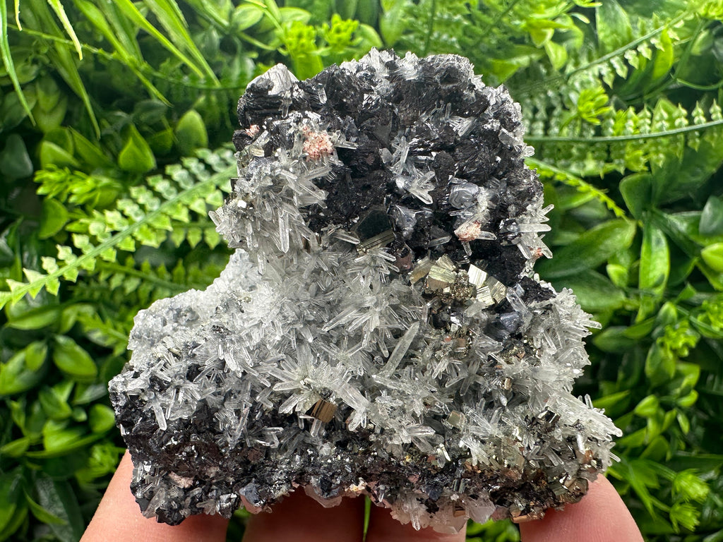 Sphalerite Galena Pyrite on Quartz, Borieva Mine Mineral Specimen