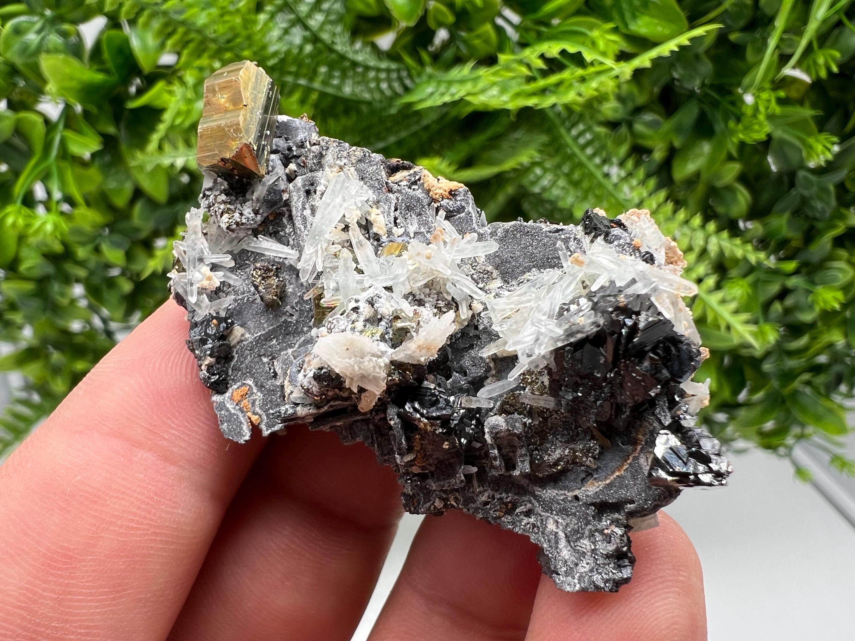 Skeleral Galena, Pyrite, Quartz Mineral Specimen, Madan Bulgaria