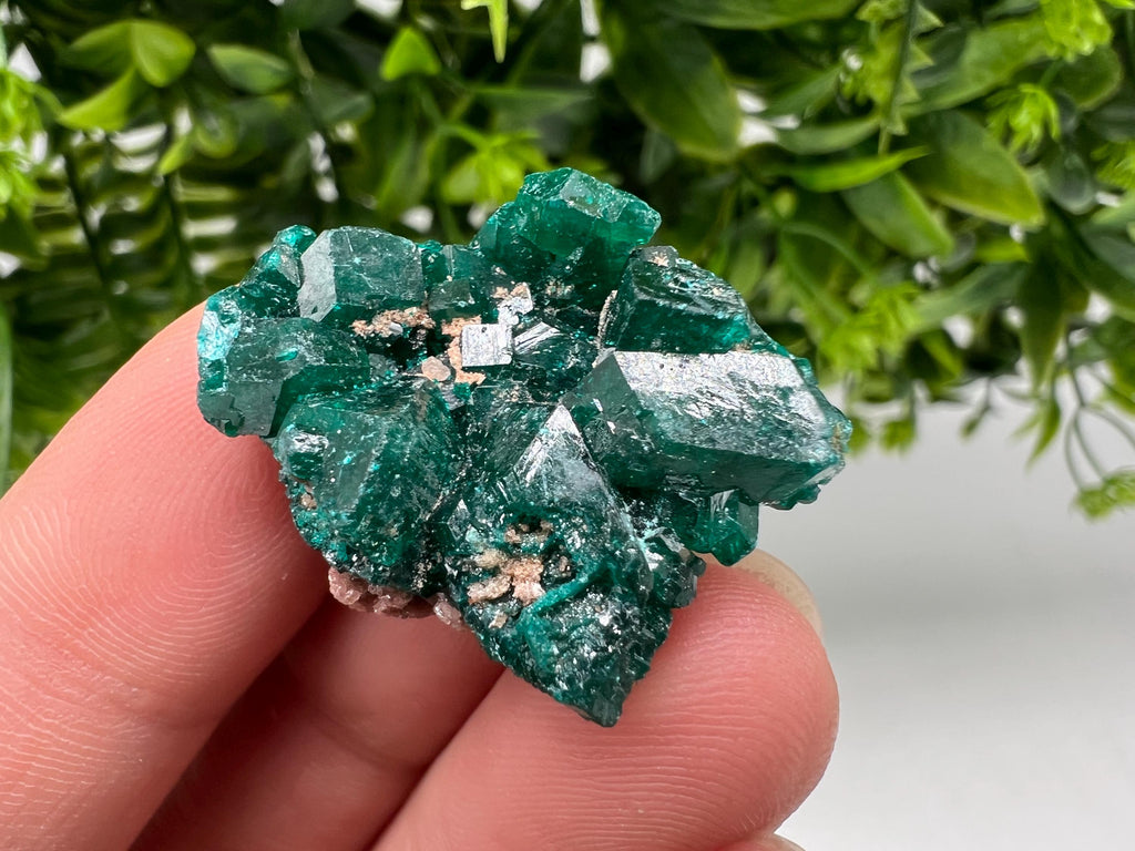 Stunning Green Dioptase from Sanda Hills,Mindouli,Pool Department,Mindouli District,Congo,green Dioptase,Dioptas Crystal,Dioptase collecting