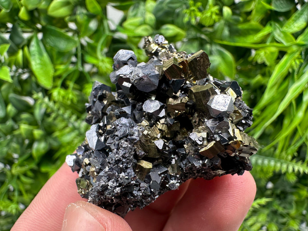 Galena on Pyrite Mineral Specimen, Borieva Mine, Bulgaria