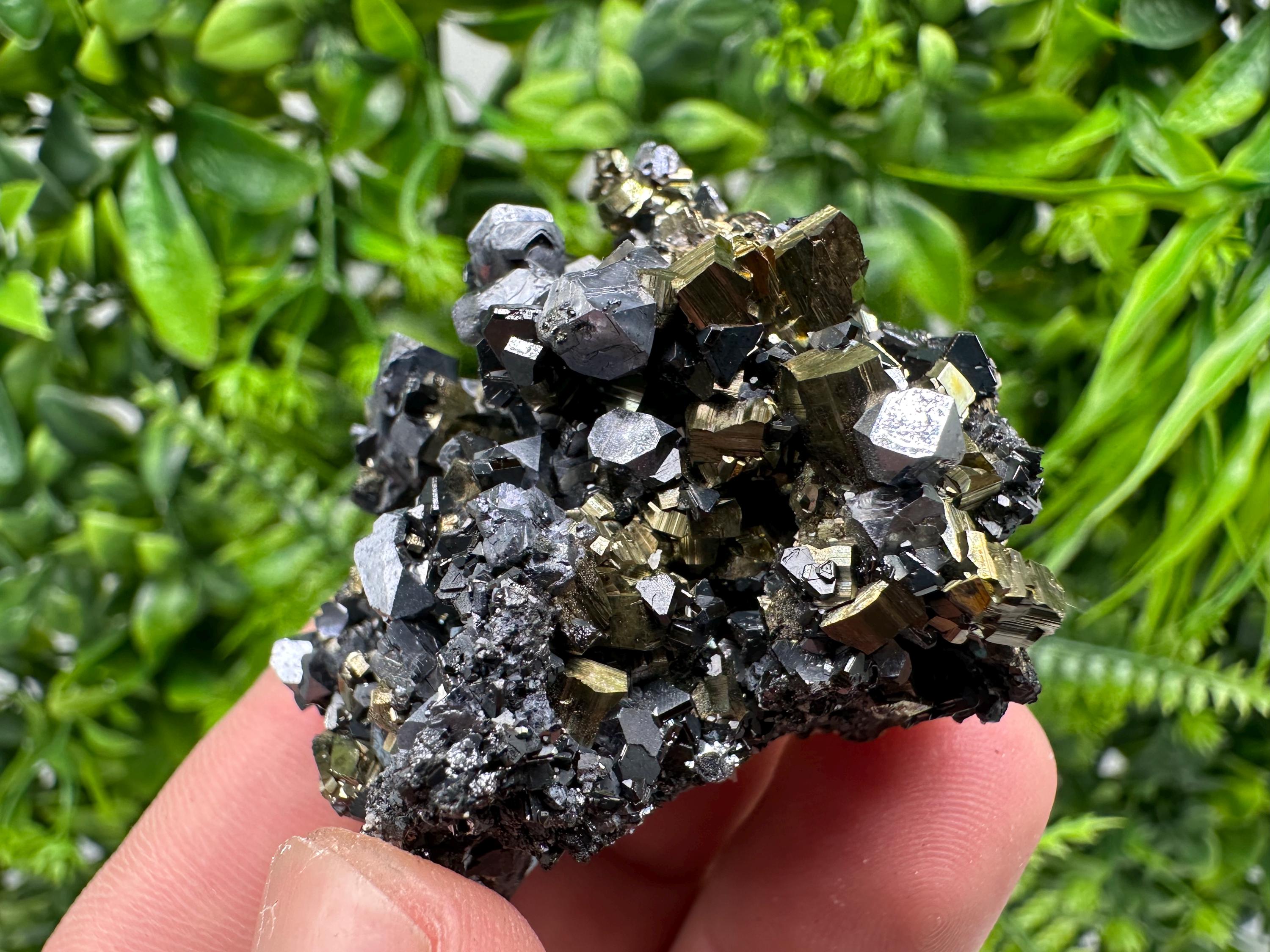 Galena on Pyrite Mineral Specimen, Borieva Mine, Bulgaria
