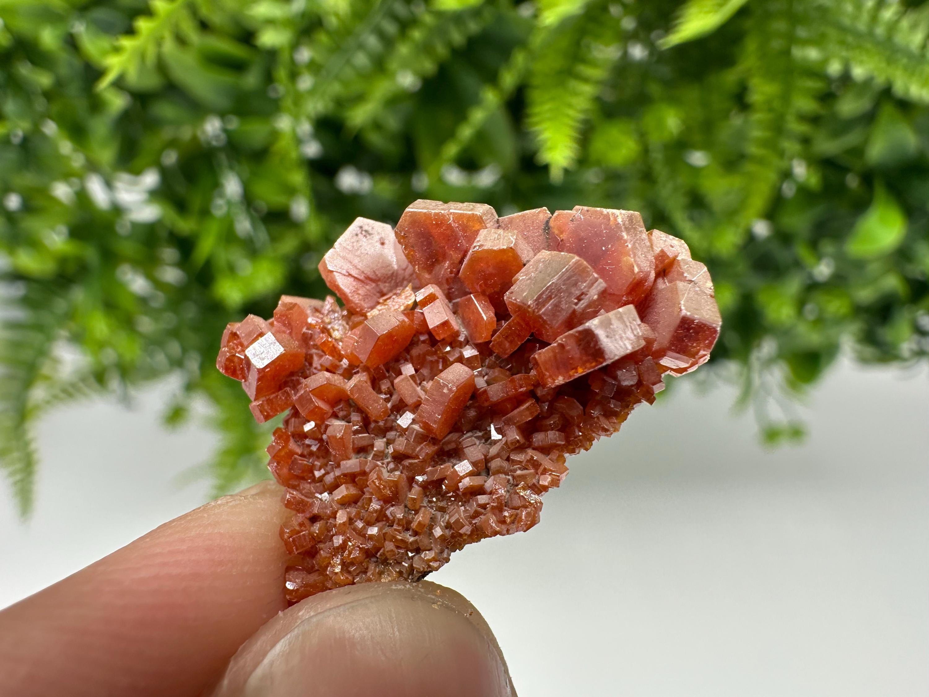 Red Vanadinite on Barite, Morocco Crystal Specimen, Geology Minerals