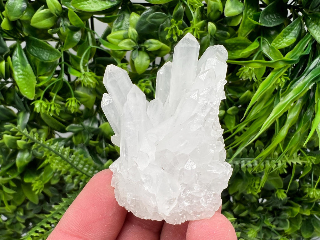 Transparent Quartz Cluster, Djurcovo Mine, Bulgaria, Mineral Specimen