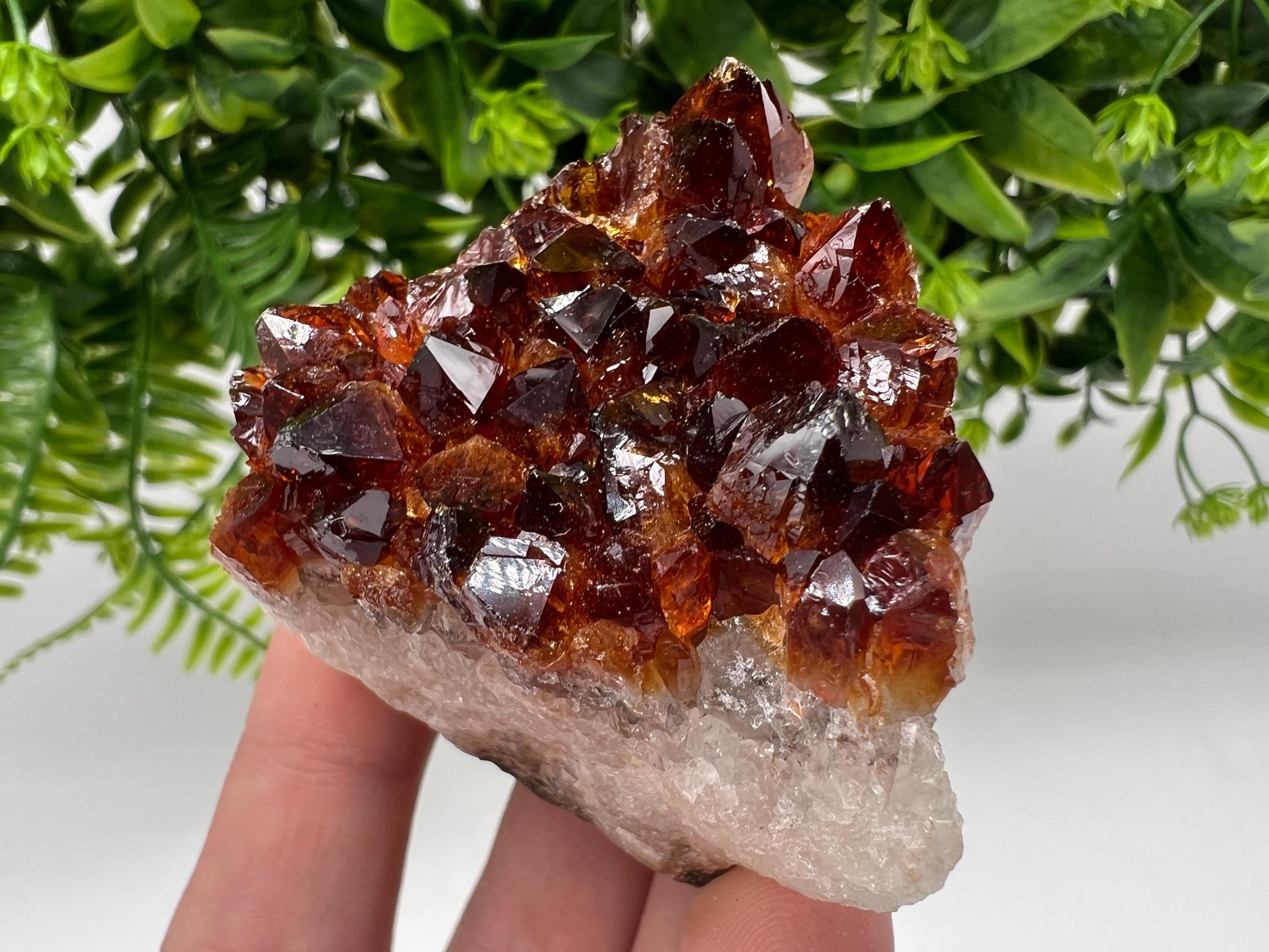 Brazilian Citrine Crystal Cluster with Hematite Inclusions