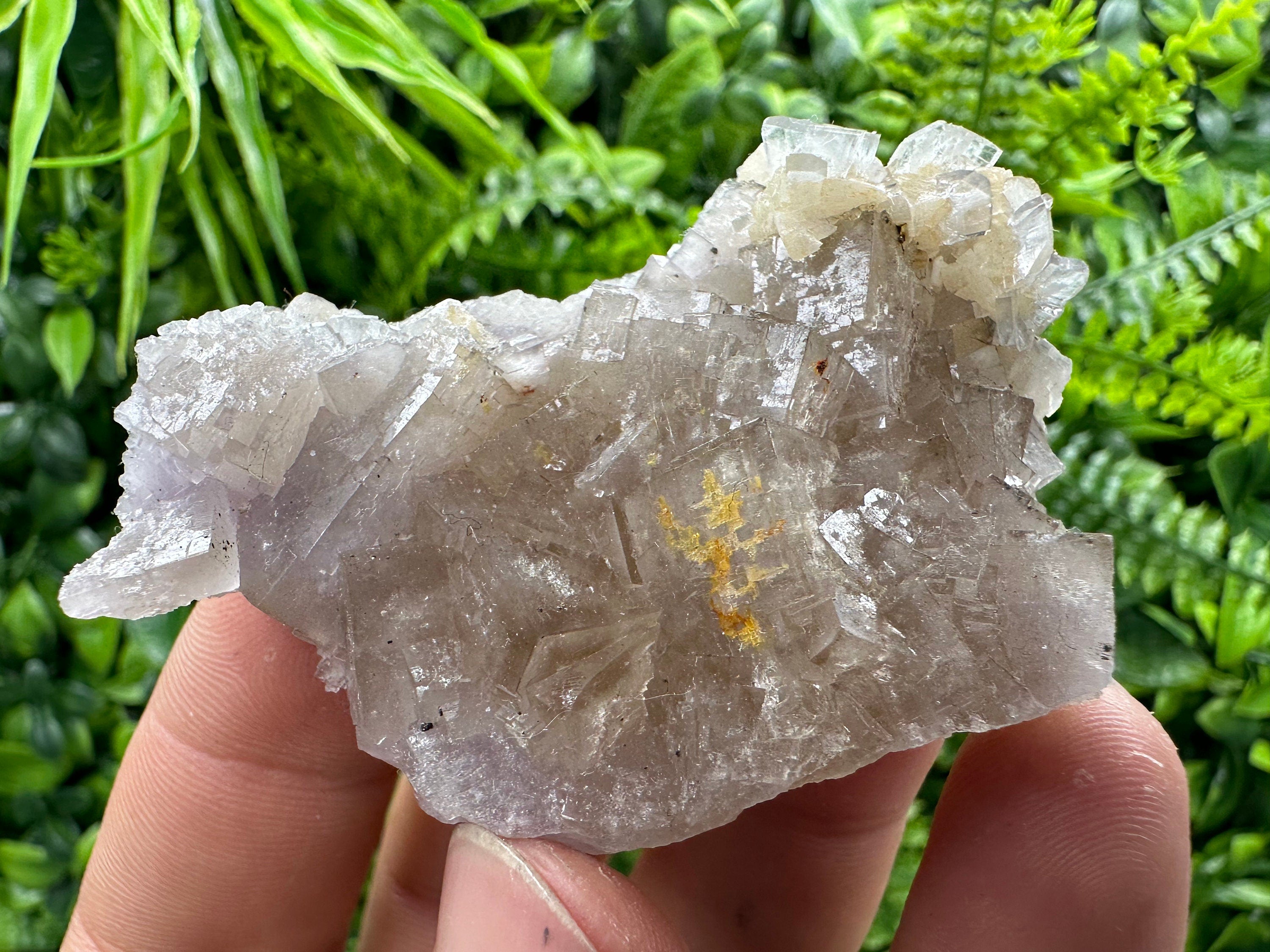 Spanish Fluorite Mineral Specimen: Crystal Collection