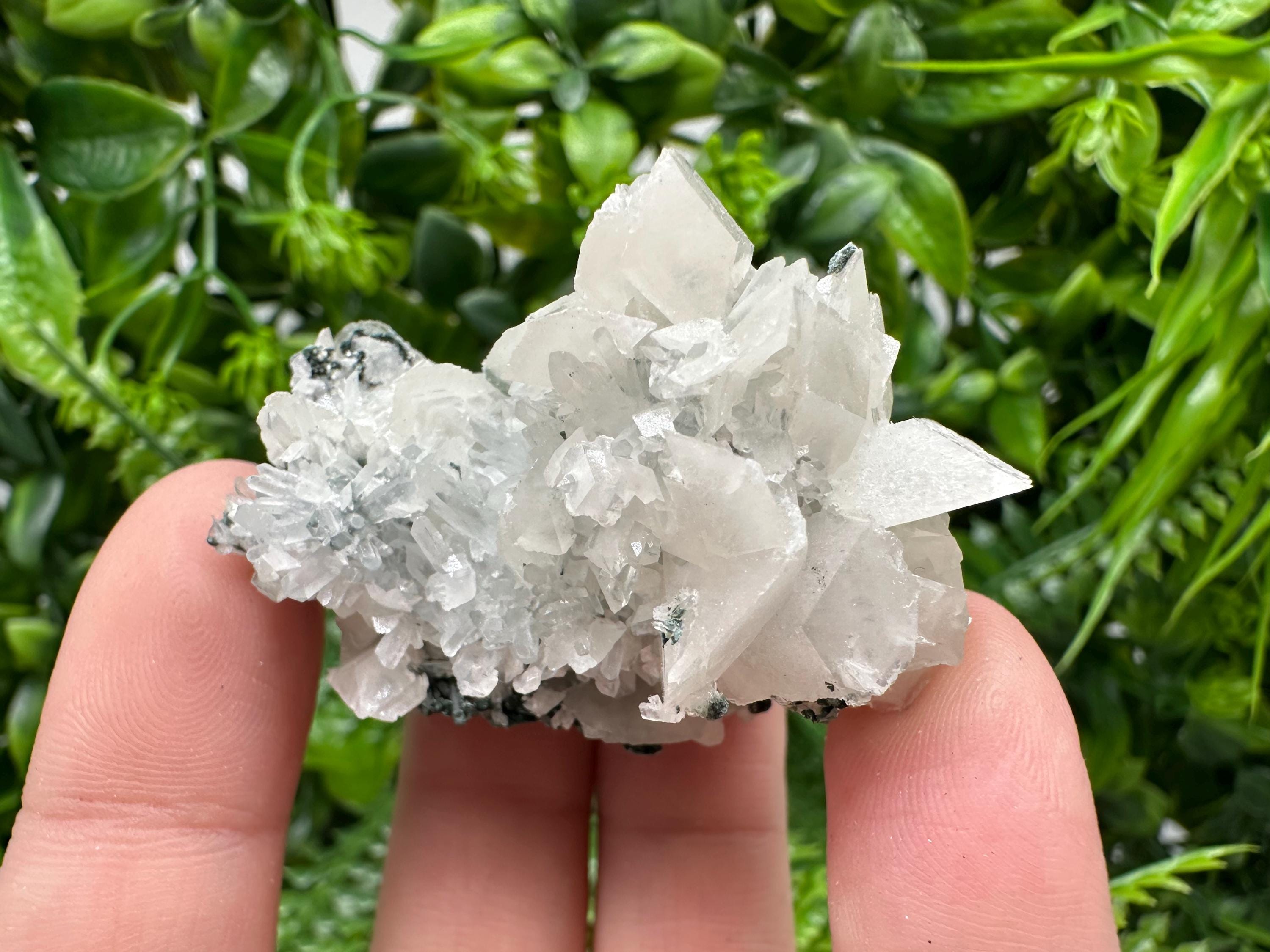 Quartz Calcite on Chlorite Matrix, Borieva Mine Mineral Specimen