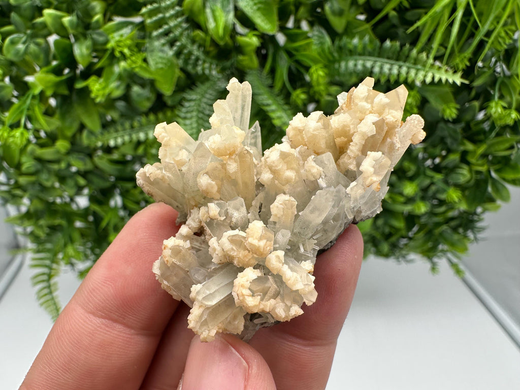 Calcite on Green Quartz: Djurcovo Mine, Bulgaria Healing Crystal